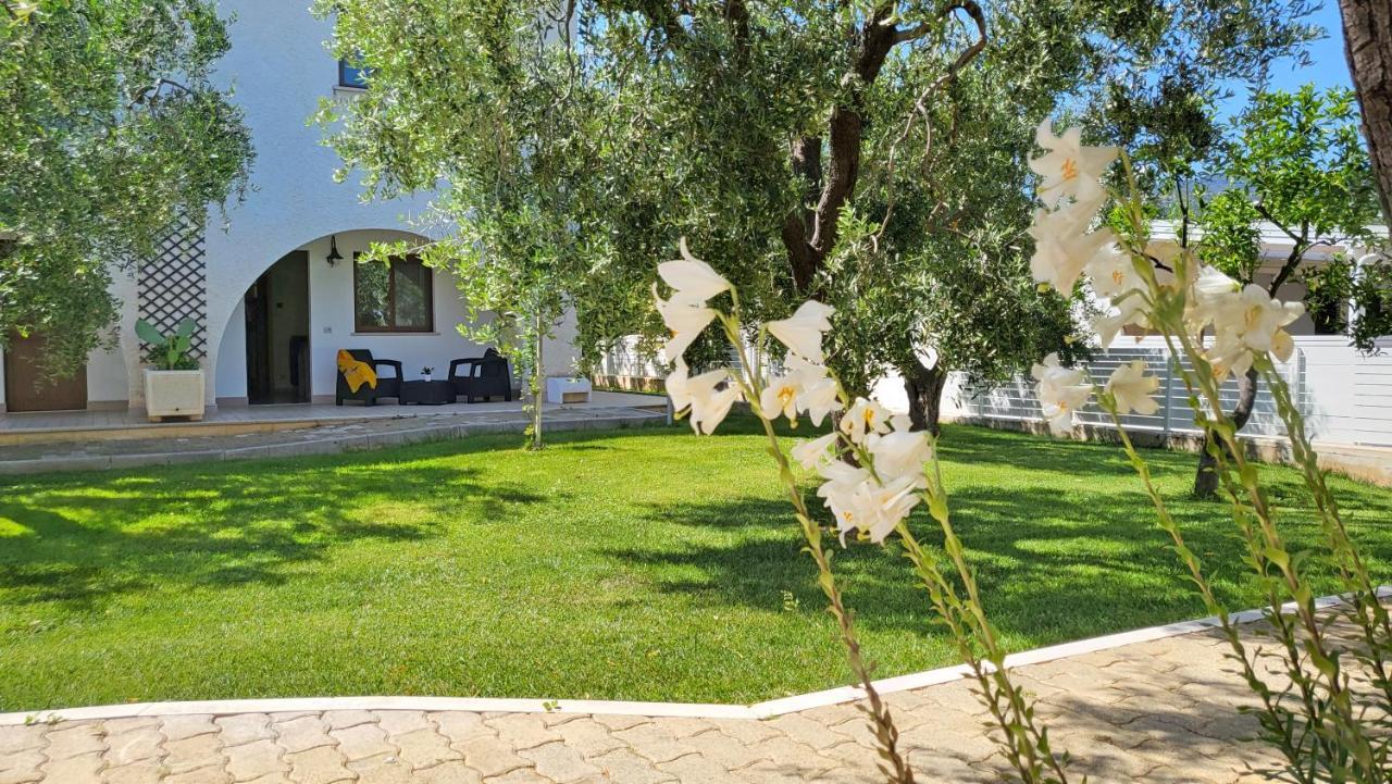 Hotel Residence Torre Del Porto Mattinata Dış mekan fotoğraf